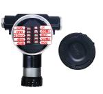 Safegas IP66/IP68 H2 CL2 Multiple Gas Detector Fixed Gas Detector Wireless Data