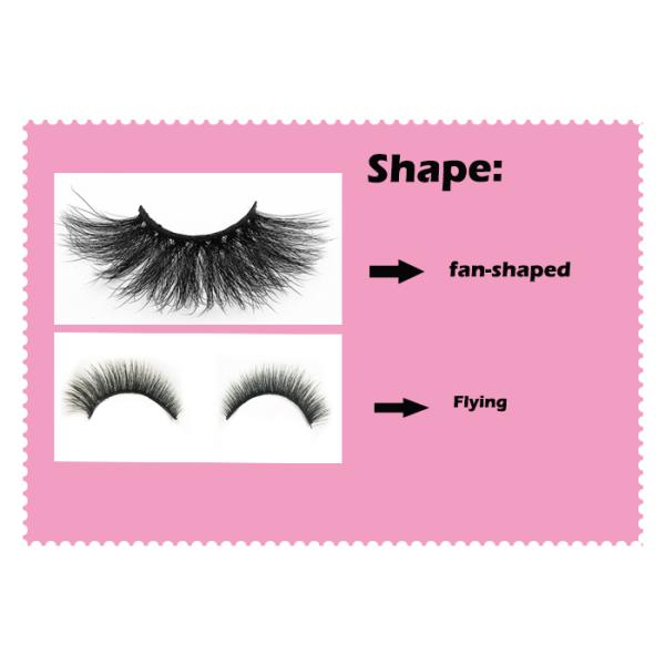 Fan Shaped Thick 21mm Dramatic False Eyelashes