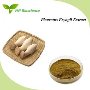 China Healthcare Mushroom Extract Powder Anti Cancer Pleurotus Eryngii Extract on sale