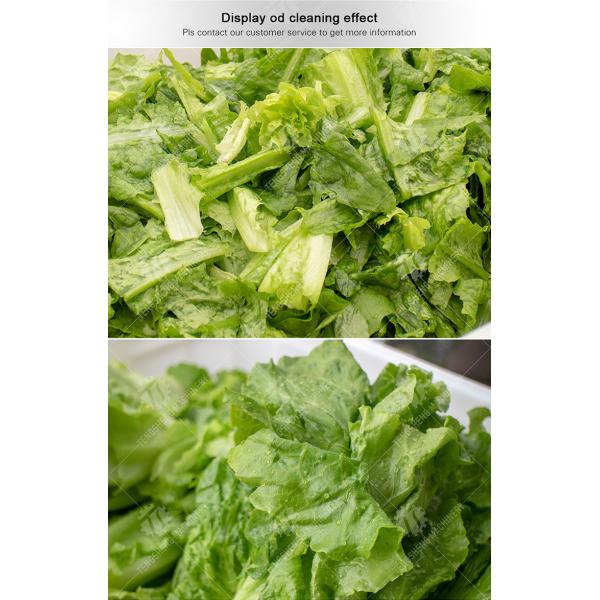 2.6KW Multi-functional fruit and vegetable bubble cleaning machine vegetable food cleaning equipment