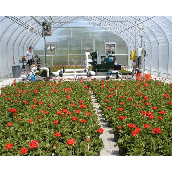 Simply Structure Single Tunnel Greenhouse Dustproof Anti Mildew With Insect Net Available