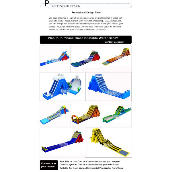 Safety Adults Size PVC Inflatable Water Slides Fire Resistant