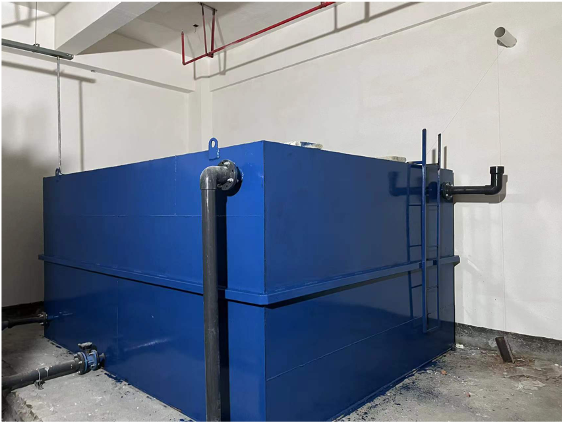 Carbon Steel Sewage Treatment Plant Pump for Restaurant Water Drink Treatment