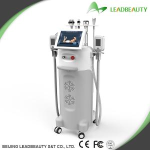 China Cryolipolysis weight lose beauty machine multi-functional machine on sale
