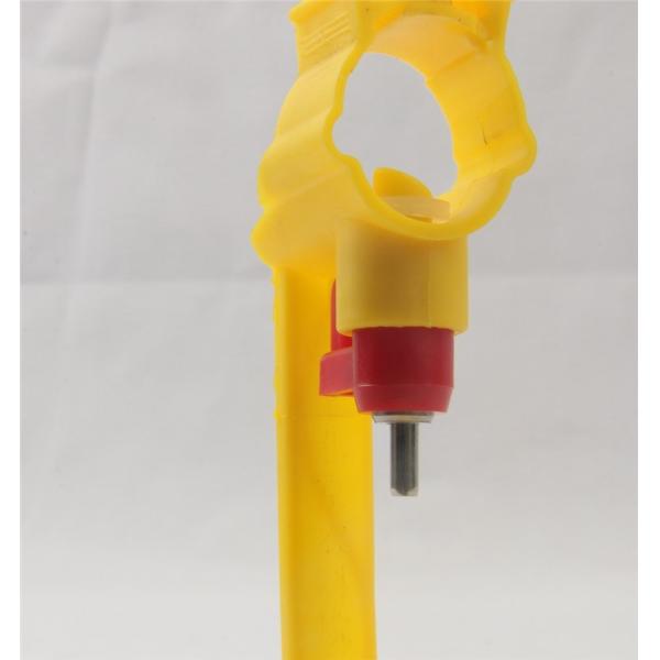 Automatic poultry nipple drinking system for livestock QL204