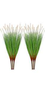 cattail grass
