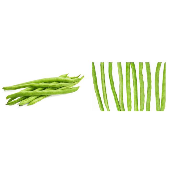 Vacuum Type Stringless Bean Fryer Machine Different Capacity With De-Oiling System