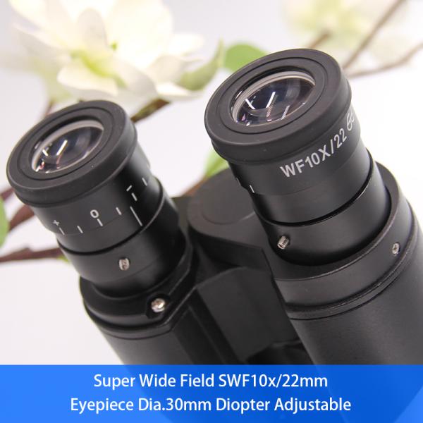 Laboratory Compound Optical Microscope 1000x