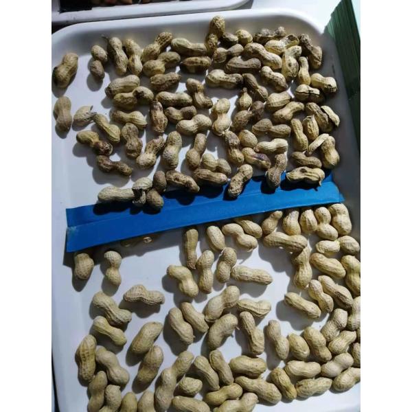 Metal Ejector Groundnut Machine , CCD Camera Peanut Color Sorter