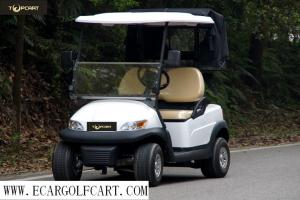 High End 2 Seater Golf Cart , Electric Powered Golf Carts With Rear Cover