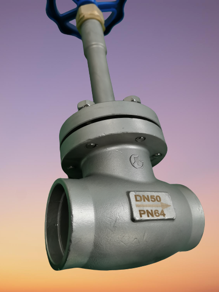 Cryogenic 304 316 PN65 DN50 Socket Weld Globe Valve