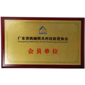 Shenzhen Starlink Mold Co.,Ltd. Certifications