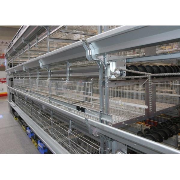 H Type Broiler Chicken Cage Full Automatic Chicken Layer Equipment