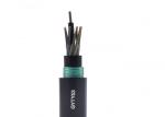 2-288core Anti Rodent Steel Armored Outdoor Fiber Optic Cable GYTY53
