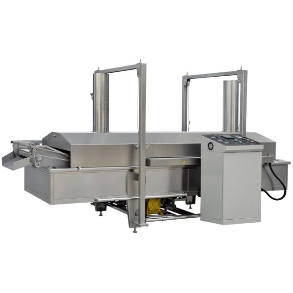 Automatic 80-100kg/H Instant Noodle Maker Machine Mini