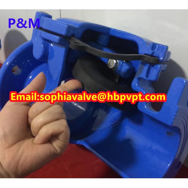 resilient seal PN10/PN16 cast iron swing check valve