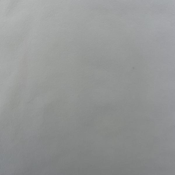 80%Polyester20%Spandex 100gsm 4-way spandex fabric