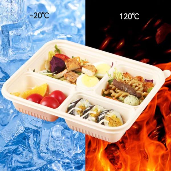 700ML Custom Biodegradable Container Corn Starch Sustainable Bowls And Plates