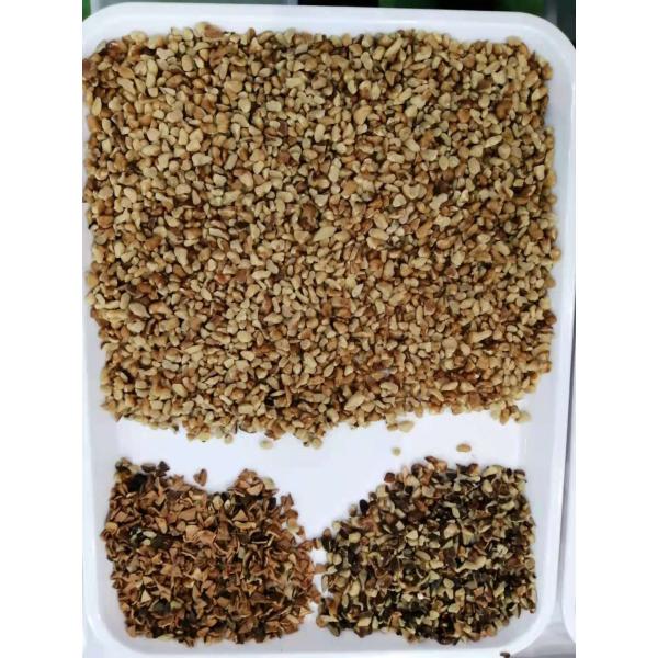 Automatic High Sorting Performance Walnut Color Sorter Kernel And Shell Separation