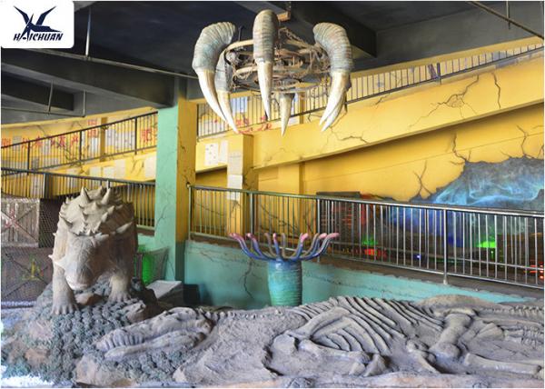 Buy Indoor Museum Life Size Dinosaur Replicas , Sunproof Dinosaur Skeleton Replica at wholesale prices
