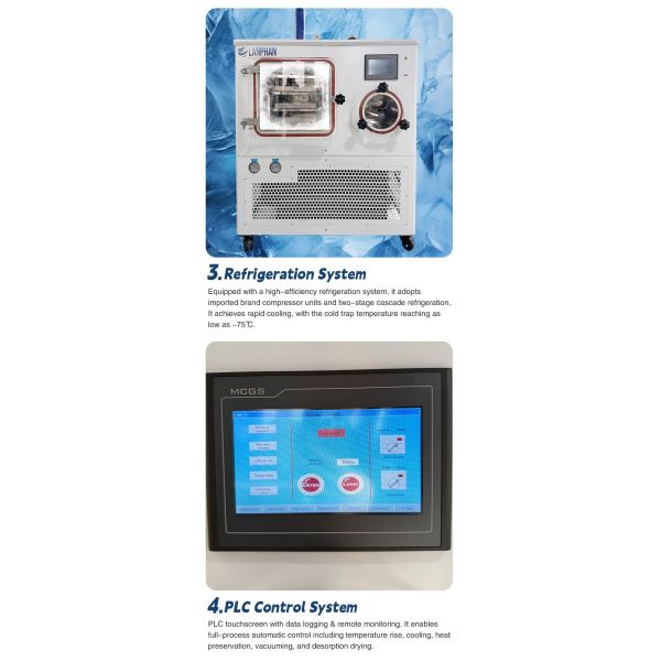 Customized Lab Scale Lyophilizer Laboratory Freeze Dryer Automatic Vacuum Lyophilizer