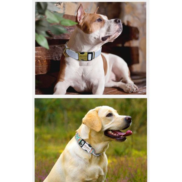 Durability Polyester Dog Collar
