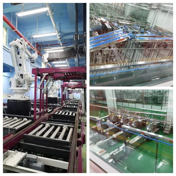 Stainless Steel Bread Packaging Line 220V Automatic Bread Processing Line