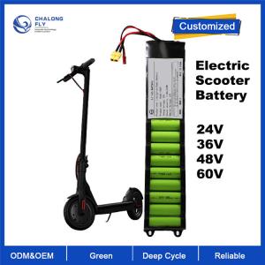 Quality OEM ODM LiFePO4 lithium battery pack Electric Scooter battery 24V 36V 48V for Electric Bicycles/Scooter for sale