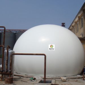 Buy cheap N2O Small Biogas Plant Project Methane Biogas Storage Balloon from wholesalers