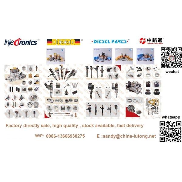 0 445 110 278 0445110278 DIESEL INJECTOR ASSY 0445 110 278 Fuel Injector 0 445 110 278 for Hyundai 33800-4A600