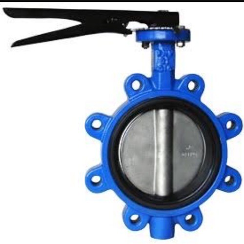 Double eccentric flanged butterfly valves
