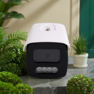 Indoor CMOS Double Light Source Bullet Camera with Night Vision and Memory Card