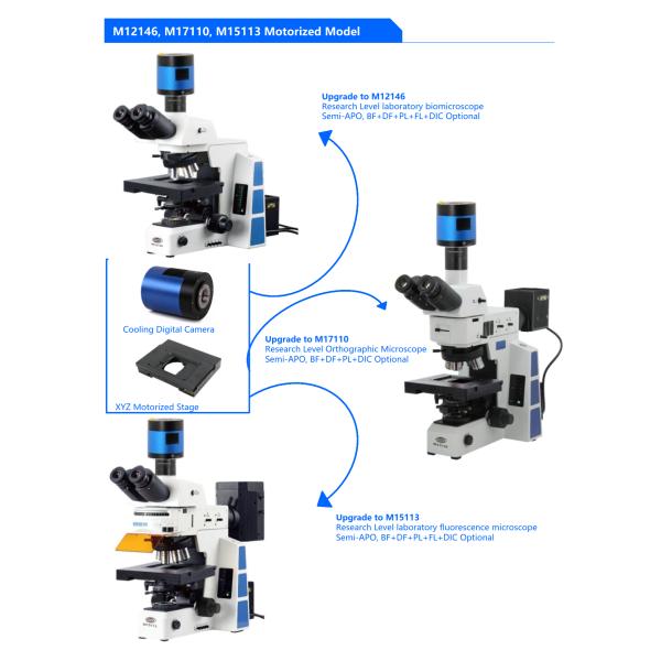 Research Level 3D Semi-Auto Laboratory biological microscope