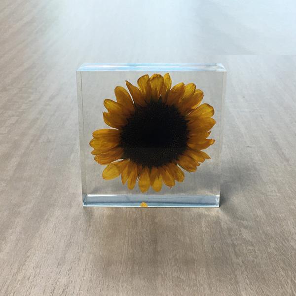 Low MOQ Custom Shapes Sizes paper weight Crafts For Decoration custom resin weightpaper scale flower inside acrylic paper weight