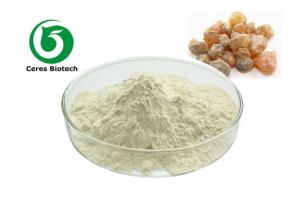 China Herbal Extract Boswellia Serrata Extract Powder Boswellia Acid 65% 85% 90% on sale