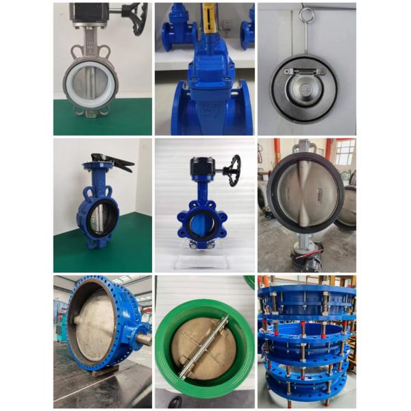 Single leaf door disc thin Spring Check Valve