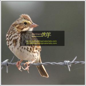 Fencing suppliers,Barbed wire price,galvanized barbed wire,Single Twist Barbed Wire fence