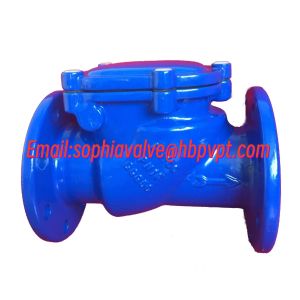EPDM resilient seal British standard flanged check valve