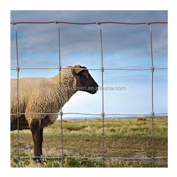 Iron Metal Type Farm Field Fence for Sheep and Goat Animals at 1.2 m x 100 m