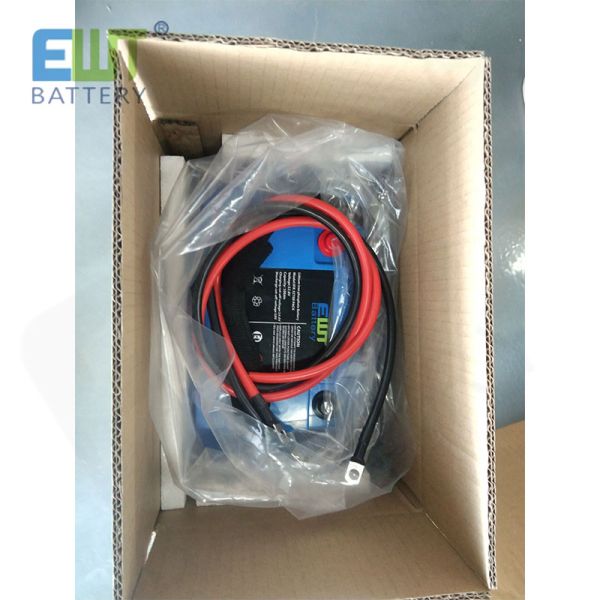 LFP Lithium Ion And Lithium Phosphate Pack 24V 18Ah Lithium Iron Battery