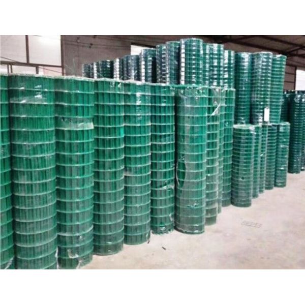 Green PVC Coated Welded Wire Mesh Rolls with 0.35mm-6mm Wire Diameter and 1/2''*1'' Hole Size for Fencing