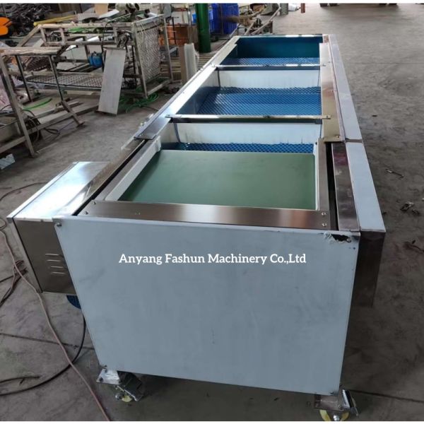 Olive sorting machine, olive grading machine, olive classification machine
