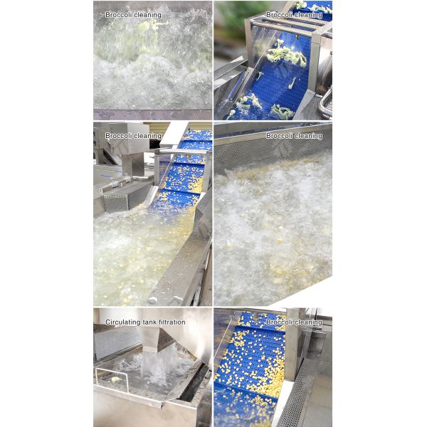 Cleaning processing production Machine Vortex vegetable washing machine red beans mung beans green peas beans canning Potato Potatoes and round tuber