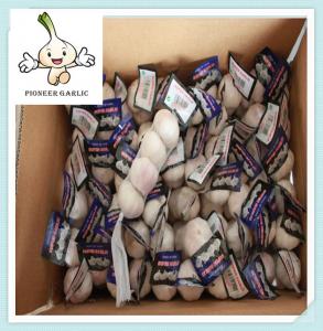 Quality Garlic - Small and Bulk Orders - Contact Us for Free Samples for sale