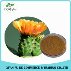 China Phamaceutical Ingredient High Quality  Low Price Loss Weight Product Cactus Flower Extract on sale