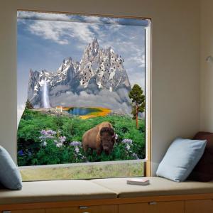 Adjustable Custom Printed Roller Blinds Vertical Blinds Window Treatment