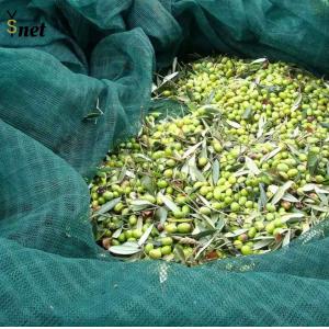 Quality 5x10m 6x12m Fruit Collecting Net 100gsm Apple Collecting Net for sale