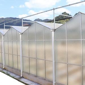 Quality Agriculture Film Clear Polycarbonate Greenhouse Transparent Square Steel Frame Coating for sale