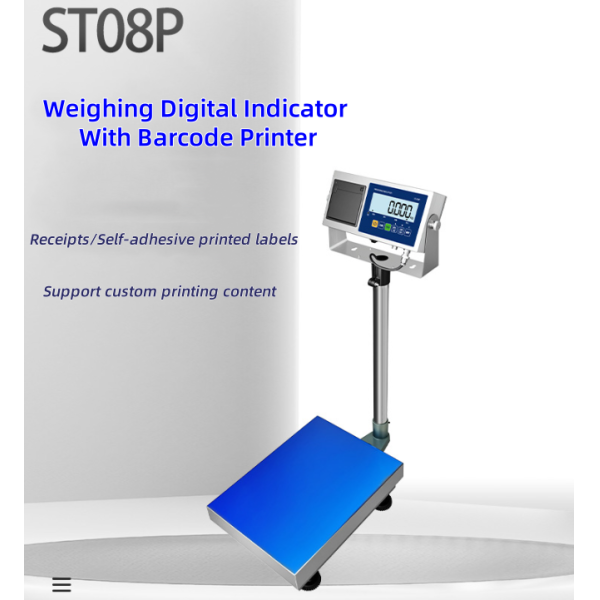 Industrial Stainless Steel Digital Scale Indicator With Printer