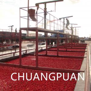 China 36-38% Tomato Paste Brix Tomato Paste Production Line with Automatic Evaporator System on sale